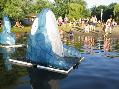annchou-orca-d1.jpg